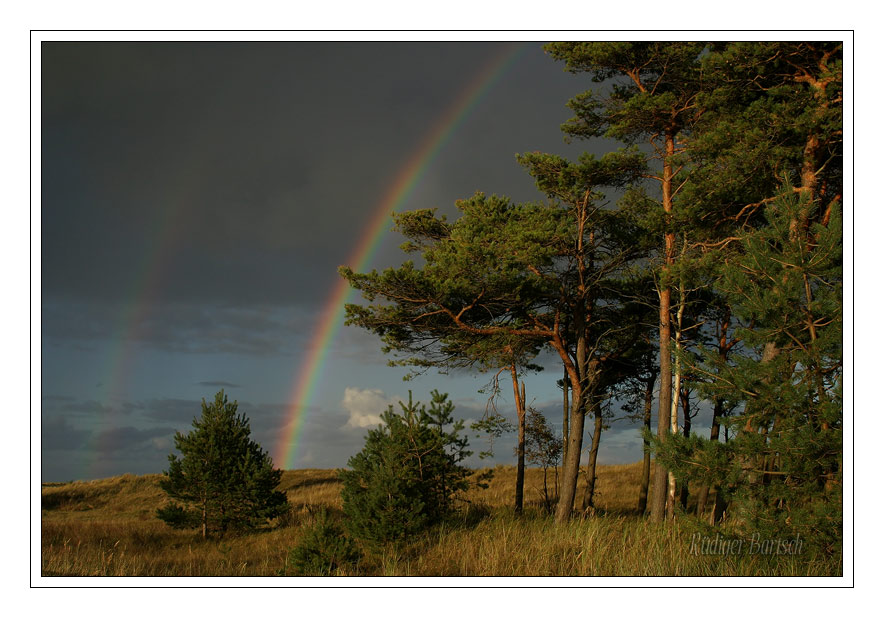 Foto - Bild- Regenbogen, NP Vorpommersche Boddenlandschaft